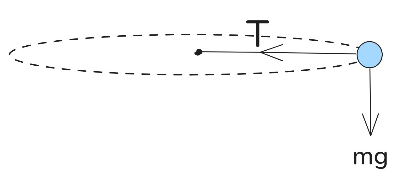  Img Phys Cape Horizontal-Circles.png