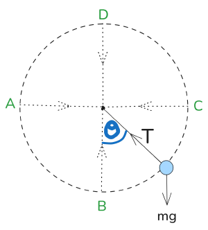 /img/phys/cape/vertical-circles.png