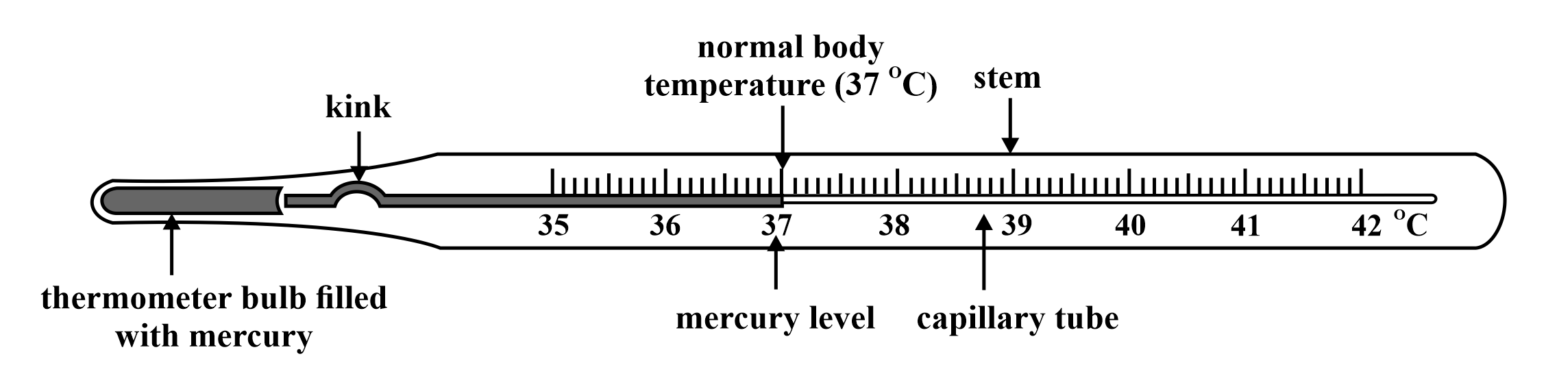 Img Phys Clinical-Therm.png