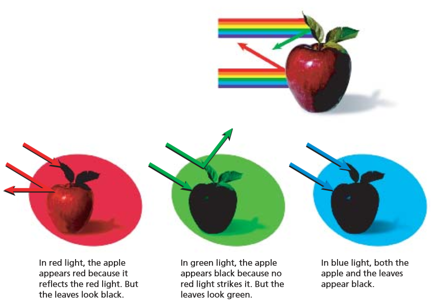 Img Phys Newton-Corp.png